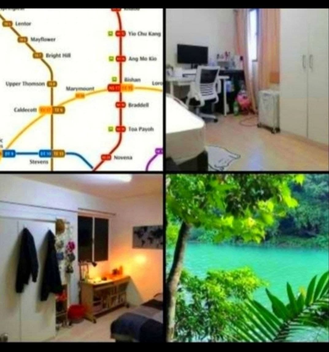 HDB ROOM in D20 Ang Mo Kio