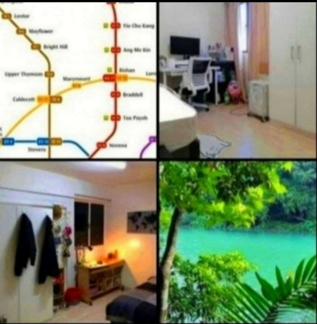 [Room wanted] HDB Room · D18 Tampines — Budget S$700